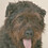 Frank_Vdm